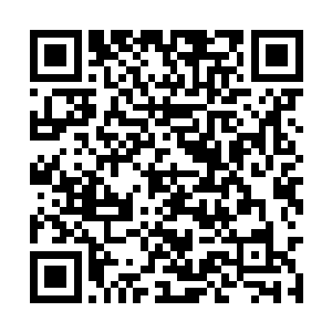 更是有一股浩瀚如海的恐怖气势从高空中碾压而下二维码生成