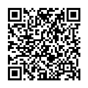 更是警惕无比的把神识罩定了整个密室和旁边的巨大石屋二维码生成