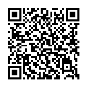 更是连整个水族部落的宝物和族人也一并被俘虏二维码生成