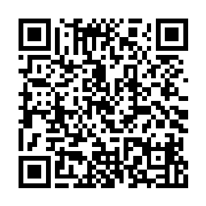 更显得一张被热气蒸腾的红扑扑的小脸格外精致二维码生成