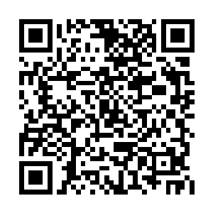 更有一点火星落在了一个梨山宫筑基修士的身上二维码生成