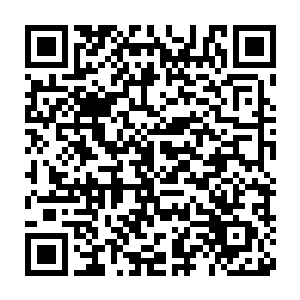 更有人从小太妹和周灵儿的长相推断出唐晓柔一定也是一个大美女二维码生成