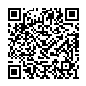 更未想过一只蚯蚓的口器可以生得如此狰狞丑恶二维码生成