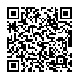更果逗超养想更果逗超养想十分钟的时间很快过去二维码生成