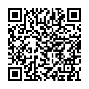 更没想到将家会死人――死得是将家的敌人才对二维码生成