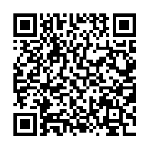更知道自己的父亲寇无双还有个所有人都不知道的秘密身份二维码生成
