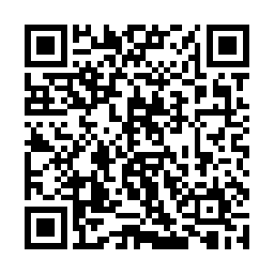 更让人望而生畏汗毛倒竖的是这战阵中没有一张轻弩二维码生成