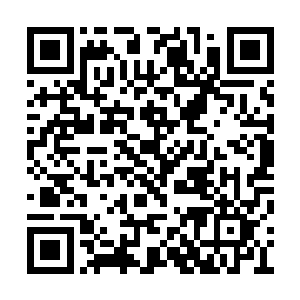 更让岛上安保部门的战士们自信心爆棚到了极点二维码生成