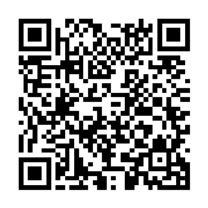 更远处数不尽的白骨人和白骨兵乌压压的蔓延出去二维码生成