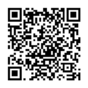 更隐约如见一头浑身冒着黑色烈焰的虎豹兽相势显现而出二维码生成