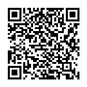 曹仁下意识地扭头给了孙策一个冰冷而充满挑衅味道的眼神二维码生成