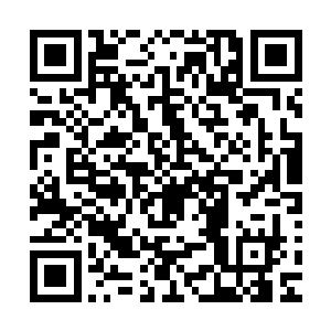 曹元自然有些惊骇的看着这些被秦方一一打飞出去的青衣铁卫二维码生成