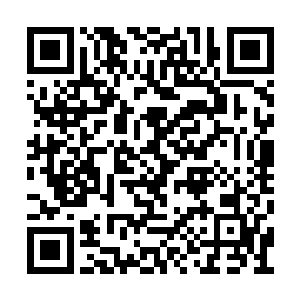 曹刚一干人也就在牛有禄的带领下步入演出会场二维码生成