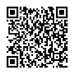 曹刚觉得时间和经历应该是一个入成长最好的养料二维码生成