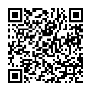 曹彰果然见得那些先往冲出的将士纷纷坠落了落马坑中二维码生成