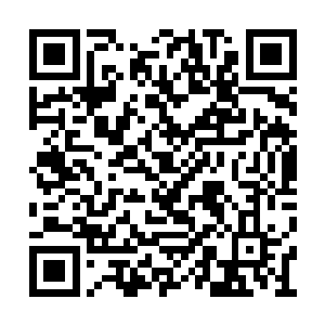 曼城的球员们也在比赛结束之后尽情奔跑和拥抱二维码生成