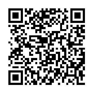 曾毅从一旁的桌子上拿起了一本早就放置的册子二维码生成
