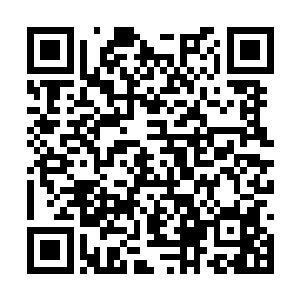 曾经在白天派人佯装猎杀妖兽的修士在那里搜寻过二维码生成