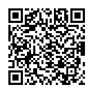 曾经她想不明白为什么在繁星小镇会有那么多虫围攻塞翁二维码生成