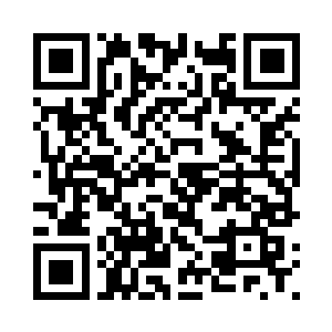 曾经最强大的却不是什么大象狮子二维码生成