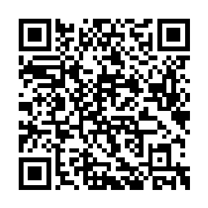 曾经有一个贵族丧心病狂的将家族成员全部杀掉二维码生成
