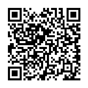 曾经有一名圣王强者偷偷潜入大周王国前来攻打这层结界二维码生成