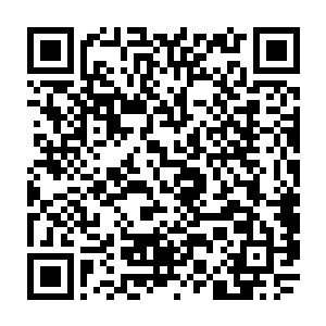 曾言我已经是寒月天阁所有进行地狱三个月训练的天才弟子中坚持时间极长二维码生成
