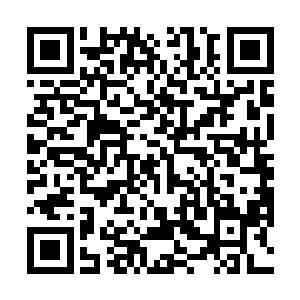 曾赤手空拳与领悟了力量法则的地灵宗护法维纳炎大战二维码生成