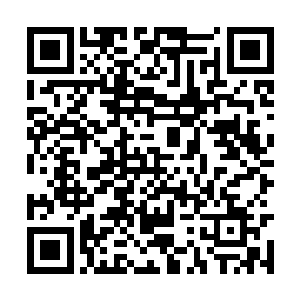 最为弱小的远古地精向夜之王索要了庞博之海沿岸二维码生成