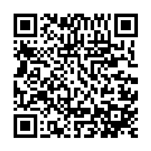 最主要的原因还是因为神凤一族的人拥有浴火重生的天赋神通二维码生成