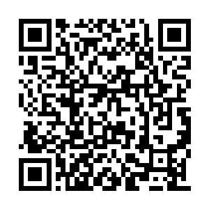 最主要的是五爪金龙直冲而下的时候那股子气势二维码生成