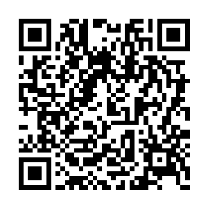 最主要的是那个蛇头顶上顶着一个通红的大肉包二维码生成