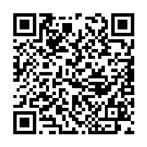 最主要的还是要为小英雄林烽和美女记者周芸点赞二维码生成