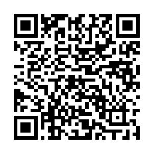 最令人惊骇的是何长安的背后竟然又生出两只手臂二维码生成