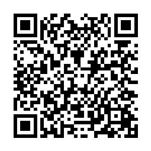 最令龙傲天兴奋的是龙傲天从天碑之中得到的信息二维码生成