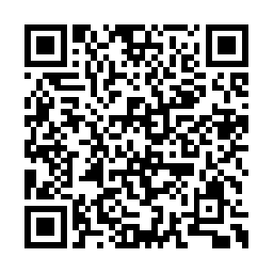 最佳人选毫无疑问就是曾经的仙桃村村长雷欢喜二维码生成
