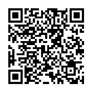 最佳男配角部门和最佳女配角部门倒是有不少惊喜二维码生成