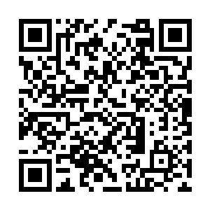 最先完成感化的那十几个巫师已经可以自由行动了二维码生成