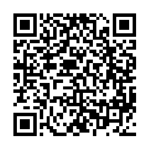 最先被挖出来的是李碧婷大一开学时气场十足的首次亮相二维码生成