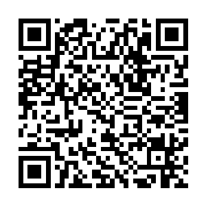 最关键的是楠山路那一带向来是光头强团伙经常活动的场地二维码生成