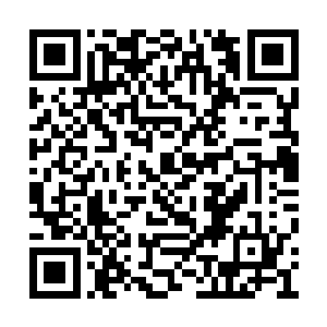 最初复活苏醒的时候这个男人就对自己态度古怪二维码生成