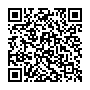 最初的本意只是想请他们前往我们西山家族做客二维码生成