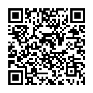 最初的议会是各个种族的族长和元老才有资格进入的二维码生成