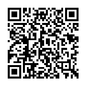 最前方的长青剑圣和另外一位青衣男子步伐很稳二维码生成