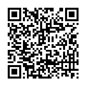 最前方的黑衣人背后的袋子内传来一道轻微的叫声二维码生成