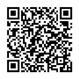 最前面的男孩回头看了一下这几个透露着恐惧神色的学生二维码生成