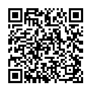 最厉害的那个也不过在跟凌予缠斗了五分钟之后二维码生成