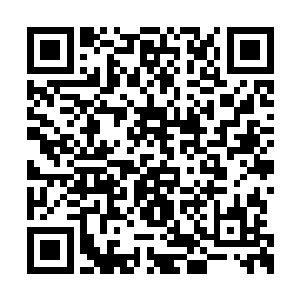 最后一个穿夹克的巴克终于能趁着机会端详一下二维码生成