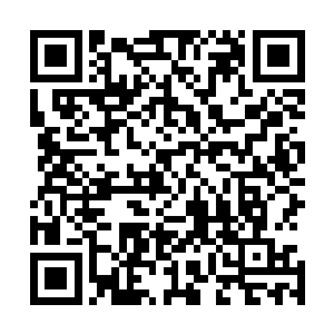 最后一名重要成员――阿纳斯塔西亚被甘比诺犯罪家族杀掉二维码生成