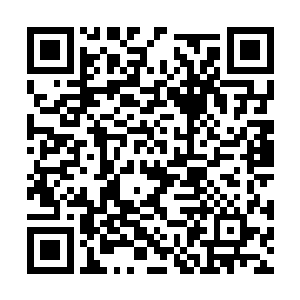 最后一次在这座城市的地图上确认一下相互的方位二维码生成